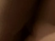 NICE PUSSY