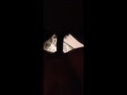 Rebecca get revelation