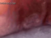 hot et coquine almanegra show live for hot boy