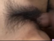 The Camel Toe Song ... a tribute