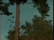 Great porn whit Amandla