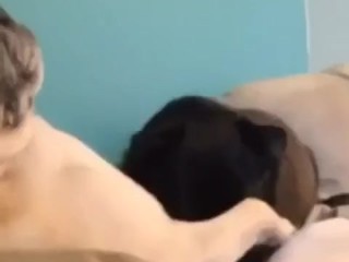 2 lesbian shemales