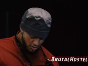 crazy wild foursome