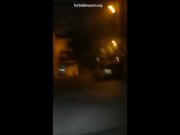 Prison hounds having fun
