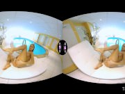 Dark Haired Hottie Sucks Dick