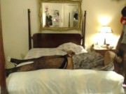 Dana Hayes strips and fucks