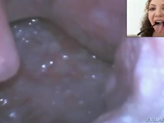 Black Bear gets Breeded