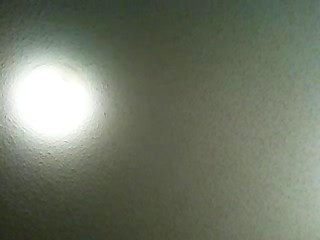 shemale orgy