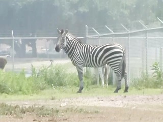 SEX ME   8-29-2012