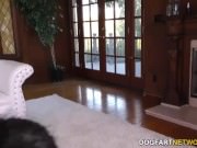 Horny babes covered in bukkake from strapon