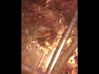 A Nice Fuck