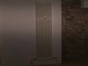 lesbains enjoy each other