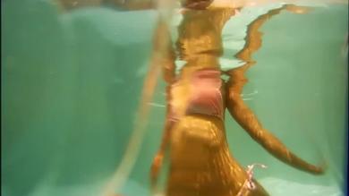 Seductive chick teasing underwater in VR