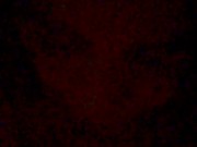 mi sego in bagno - me jerking off