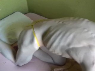 banana wife