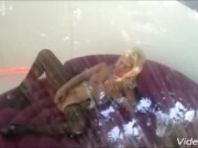 Gold Digger Eva Karera seduces a younger man for his cash