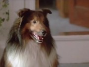 Cum tribute to Brittany O'neil