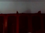 PAIGE a great choice to jerk off to