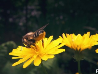 Sperma Titten
