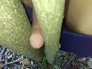 Classy brunette babe masturbating