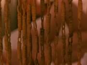 Sensual Janne strips on webcam