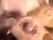Brunette sucks black cock for money