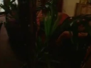 BLUMITSHLIPAS DUMATSHLIPIT (enhanced tense)