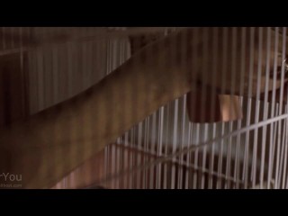 Big Load Cum Covered on Blonde Milfs Face 