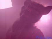sexy blowjob
