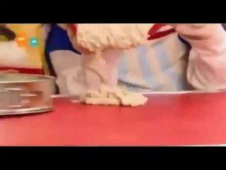 Lesbian slut bound and pussy licked