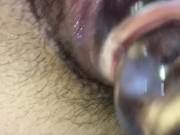 any amateur??