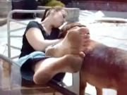 2 older white bitches enjoying black dicks