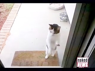 Lo Raw Fucks Omar