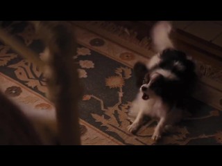 Great Anal Pamela 3