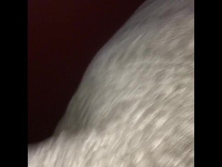 My tribute to (sexymilf)
