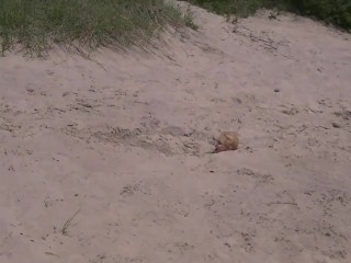 Camgirl Homemade Sex Video