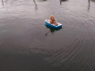Dildo 