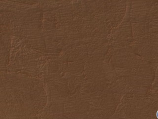 Everyone Gets A Turn In Her Ass