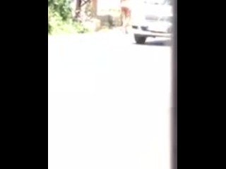 Sweet Black Men Ass Fucking And Cumshots