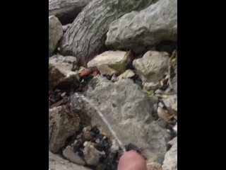 jerking for 4 actresses