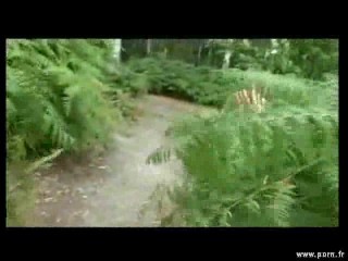 In Your Face Babe 3 #-by Butch1701