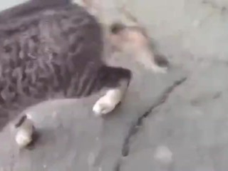She can suck..