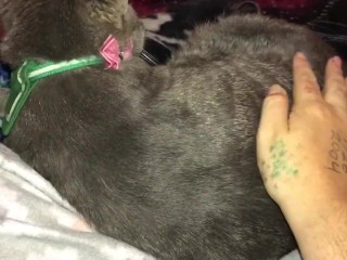 stroking
