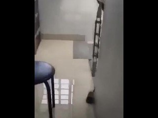 Sexy Housewife Fucked in Her Tight Bunghole