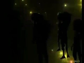 vid1MOV00428